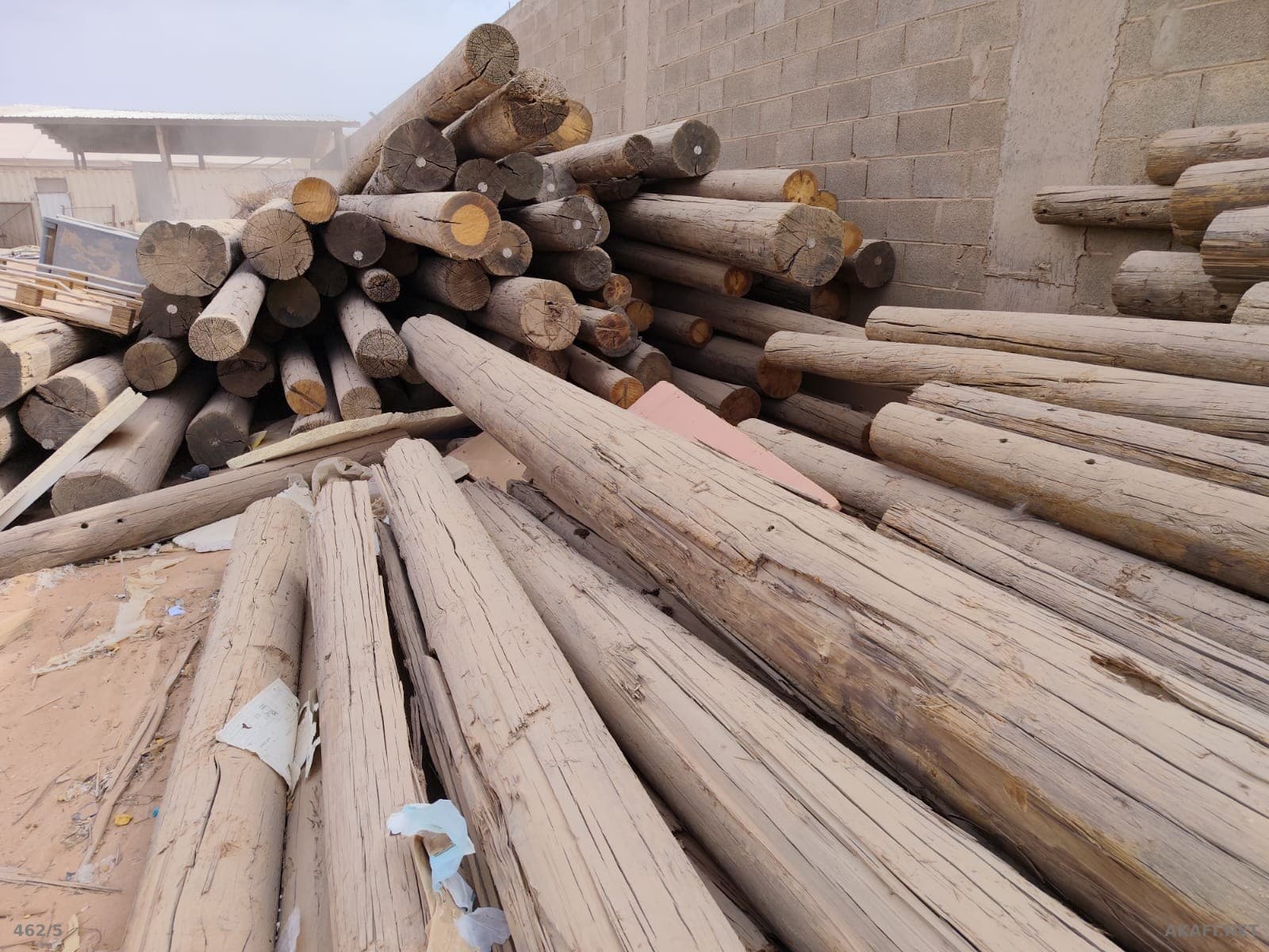 À vendre : Bois en grumes longues – Grandes quantités disponibles – Annonce n° 10017 5