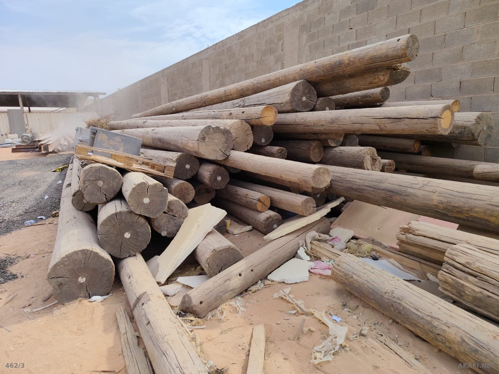 À vendre : Bois en grumes longues – Grandes quantités disponibles – Annonce n° 10017 3