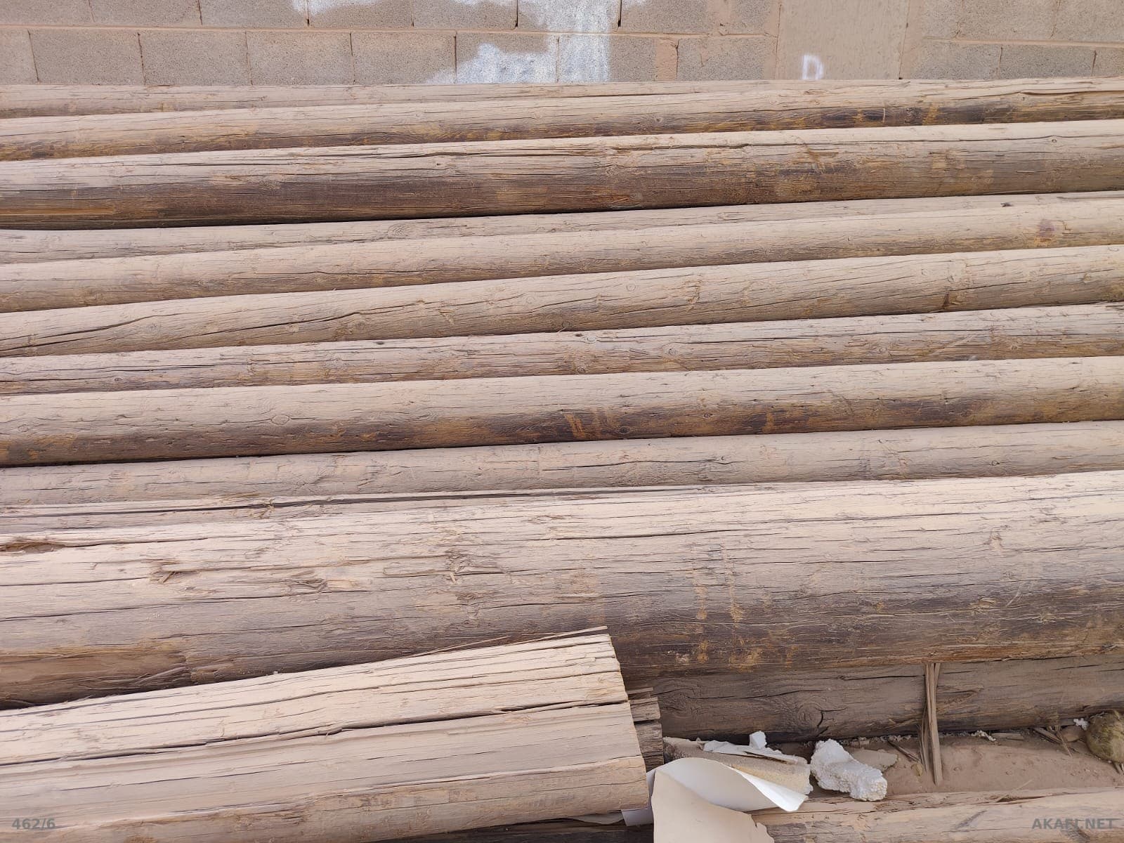 À vendre : Bois en grumes longues – Grandes quantités disponibles – Annonce n° 10017 6