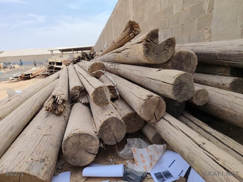 For Sale: Long Wood Logs – Large Quantities Available – Ad No. 10017